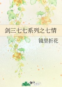 剑三七七系列之七情